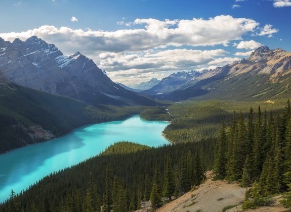 A lake with turquoise waters surrounded by forests and the Canadian Rocky Mountains.