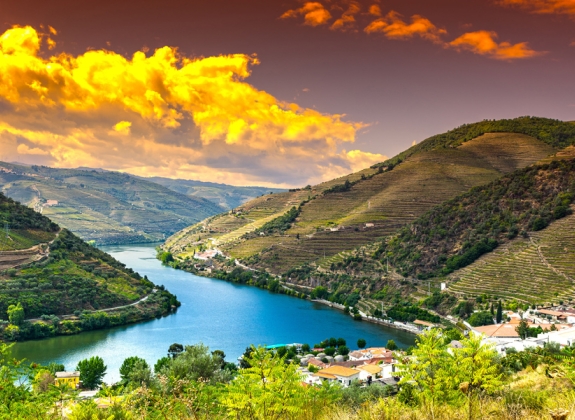 Travel in River Douro region in Portugal among vineyards and olive groves. Viticulture in the Portuguese villages at sunrise