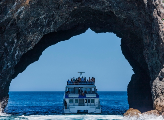 bay_of_islands_cruise