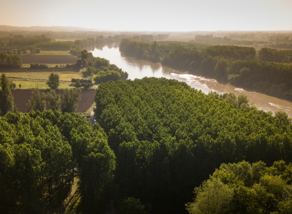 Aerial wiev Bordeaux region, garonne river, forest,landscape south west of france, Gironde