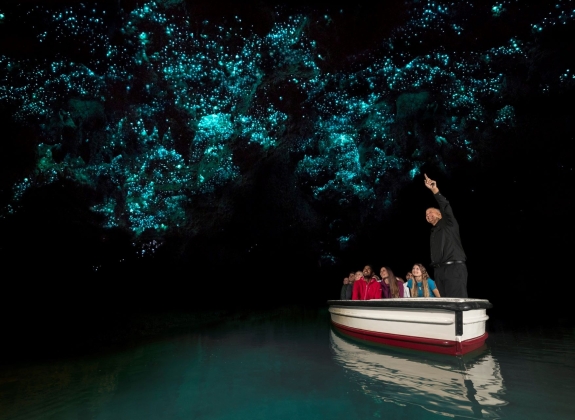 waitomo_glowworm_caves_waikato_1