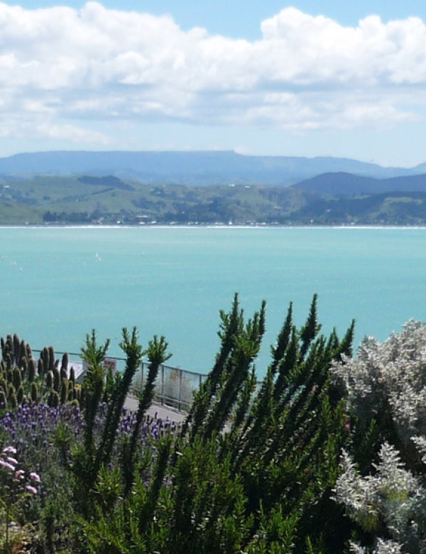 Napier-1800x600