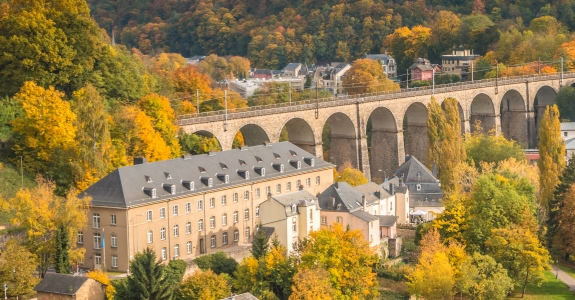 Luxembourg during fall 11800x600