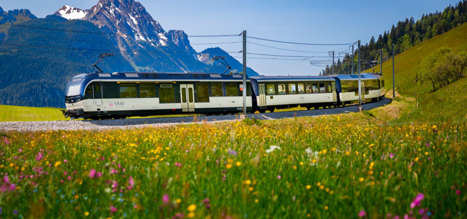 GoldenPass train near Schonried