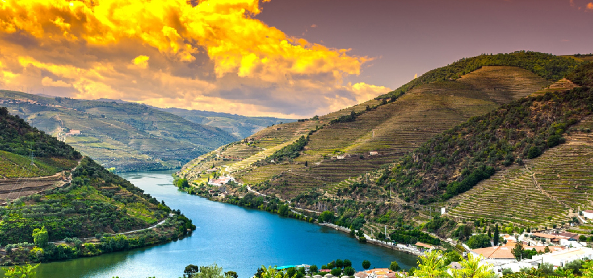 Travel in River Douro region in Portugal among vineyards and olive groves. Viticulture in the Portuguese villages at sunrise