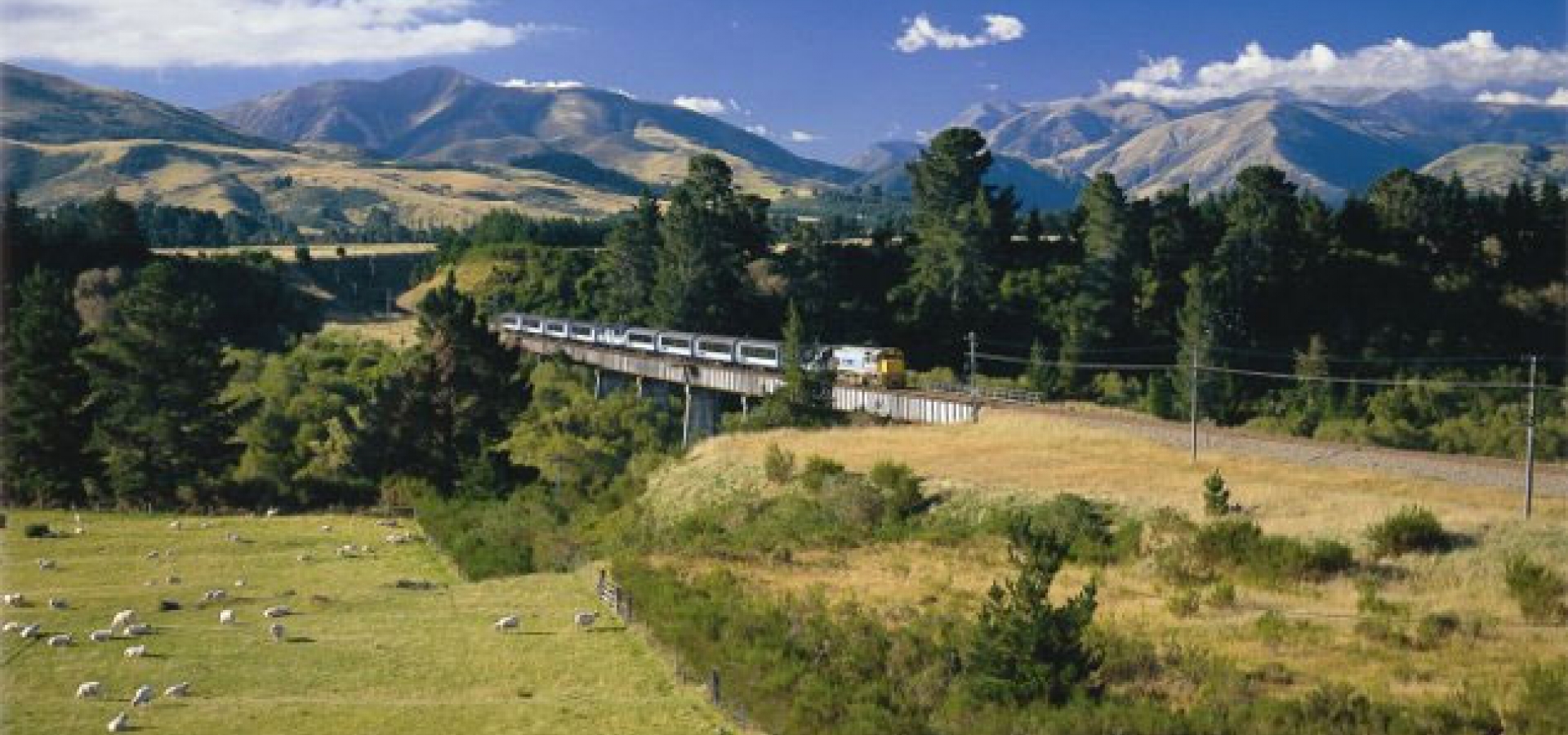 Coastal Pacific train exterior on tracks