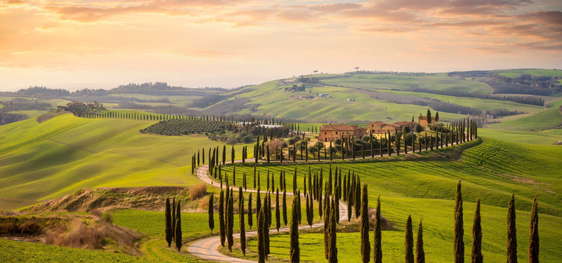 tuscany_1367154512_italy_web_winery