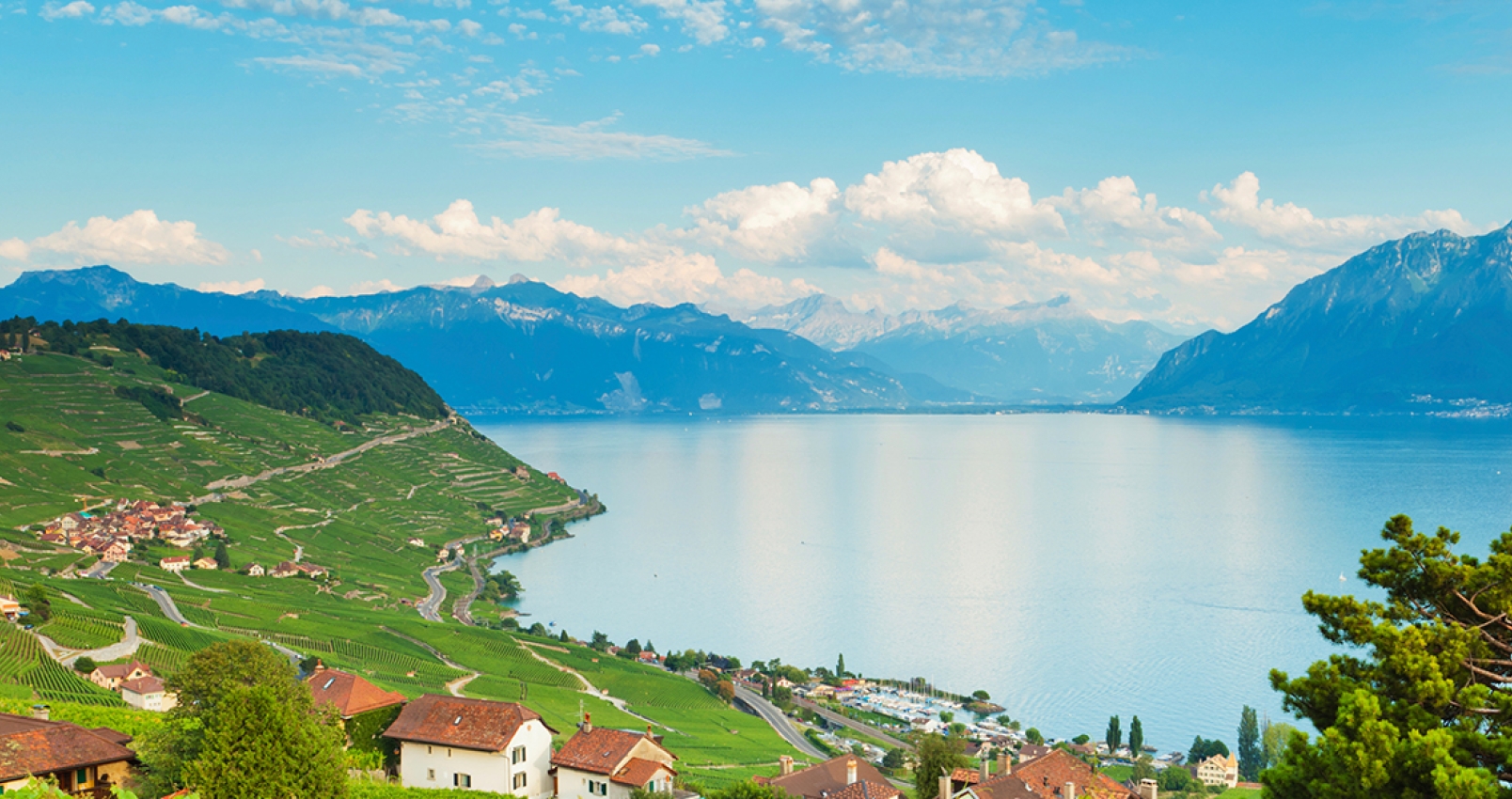 Geneva Lake Mountains Vineyard