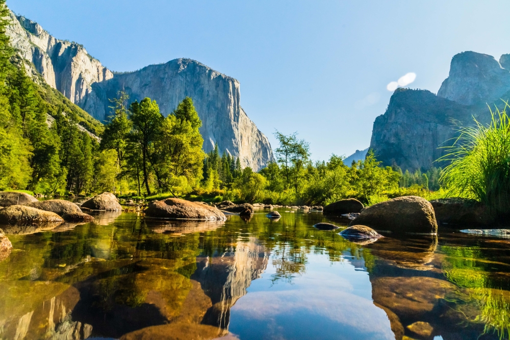 Yosemite National Park lake in the summer