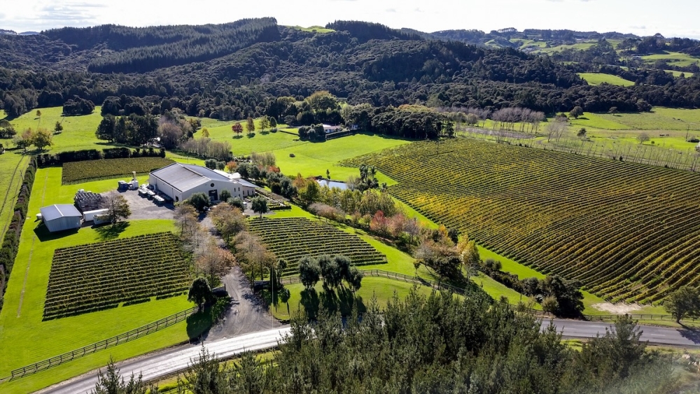 napier_wineland
