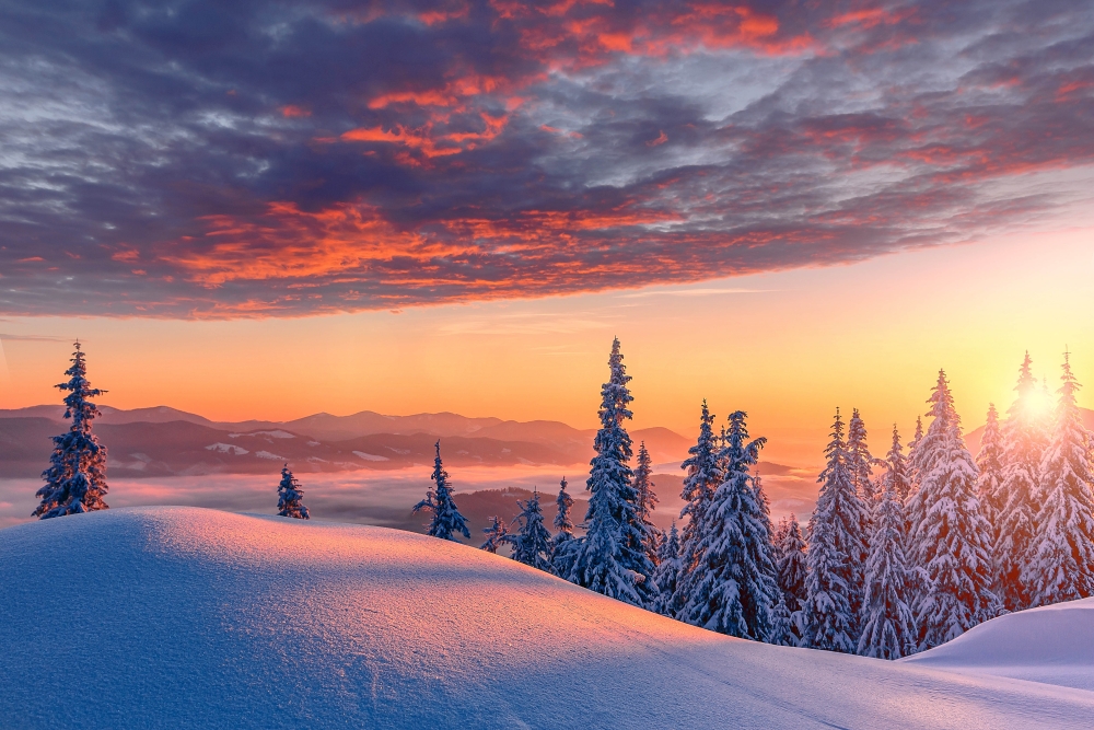 sunset over snowy forest
